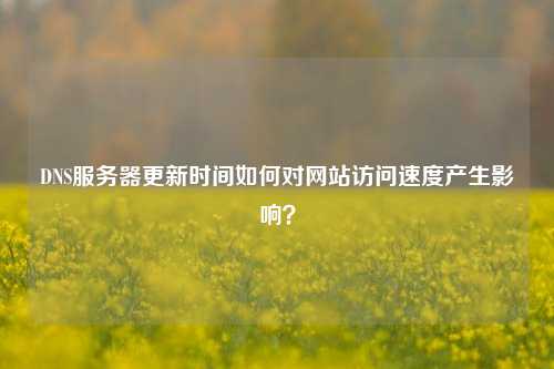 DNS服務(wù)器更新時間如何對網(wǎng)站訪問速度產(chǎn)生影響?