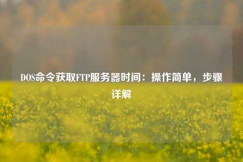 DOS命令獲取FTP服務器時間:操作簡單,步驟詳解