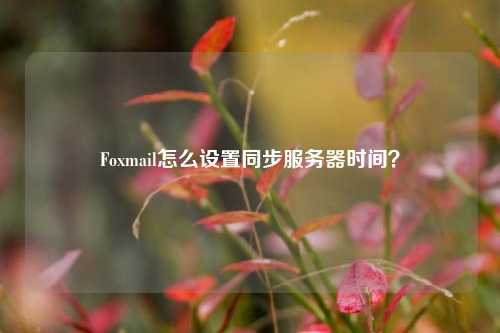 Foxmail怎么設置同步服務器時間？